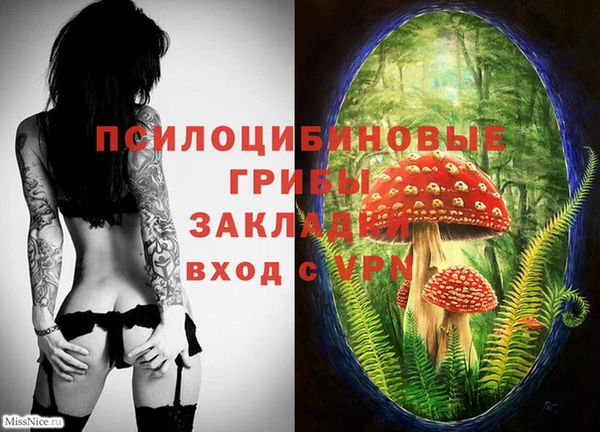 сатива Алзамай