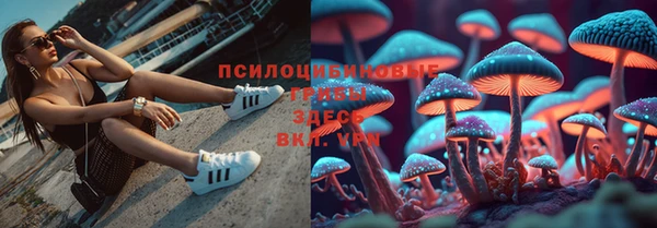 сатива Алзамай