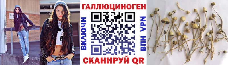 Галлюциногенные грибы MAGIC MUSHROOMS  как найти   Белоозёрский 